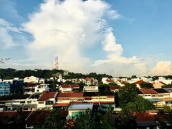 Terrene At Bukit Timah (D21), Condominium #567416151